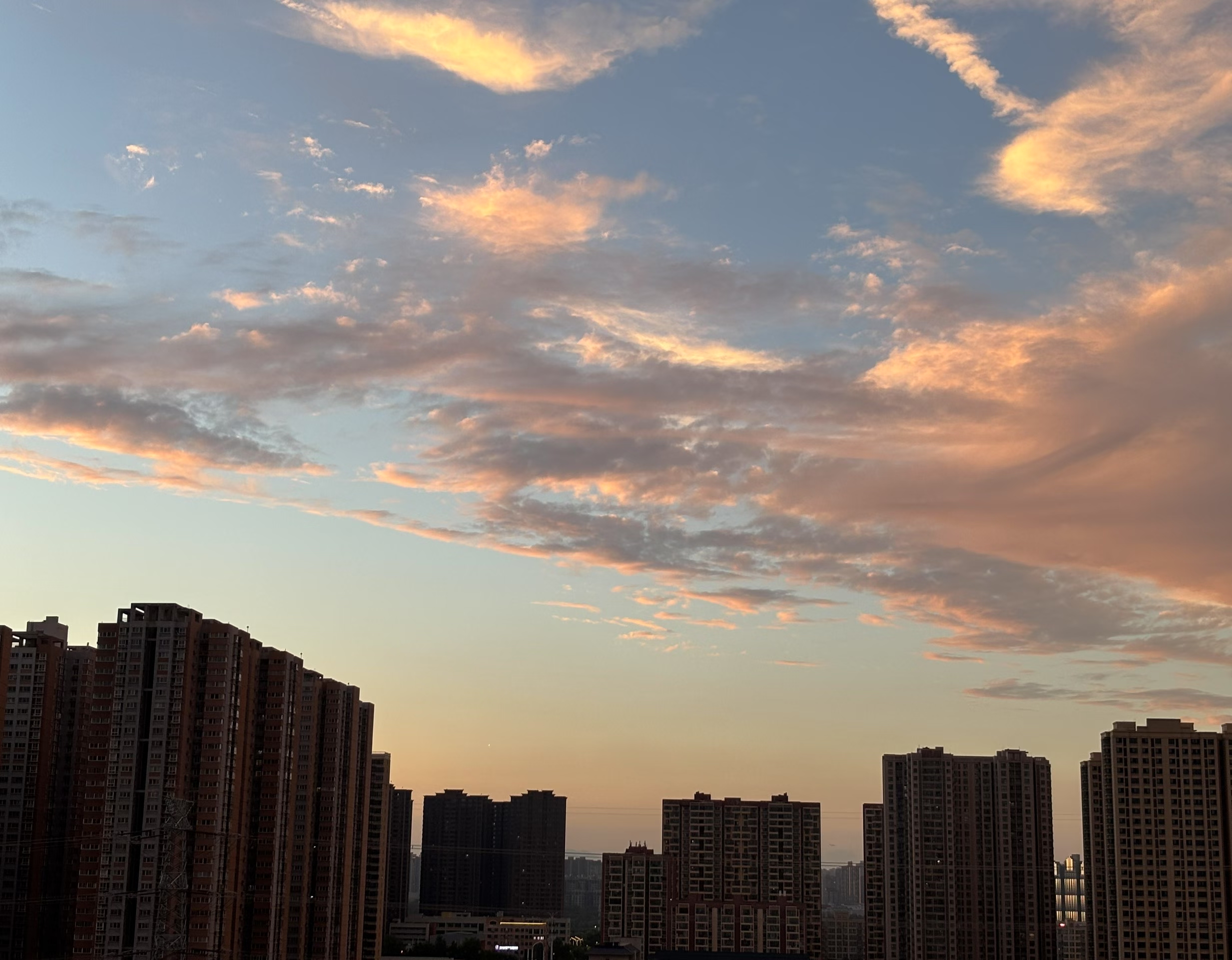 工业自动化聚氨酯PUR护套高柔性电缆 耐磨抗撕裂耐油耐腐蚀 NY可定制